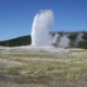 Old Faithful
